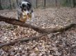 ....Jump....